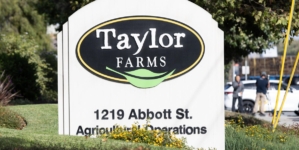 Taylor Farms CEO pressed by lawmaker over cyclospora outbreak and White House ties
