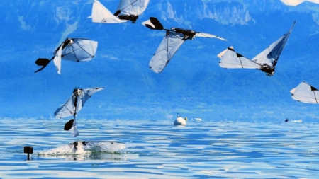 MIT and EPFL build robot bird that flies, dives and swims underwater