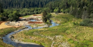 California redwoods gateway is returned to Indigenous tribe. ‘That’s healing our people too’