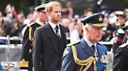 Buckingham Palace room offered to Prince Harry amid William’s concerns: experts