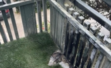 Tabletop fire pit unleashed fireball, injurying Navy vet, suit says
