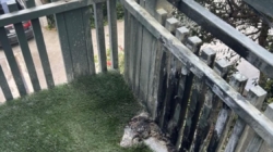 Tabletop fire pit unleashed fireball, injurying Navy vet, suit says