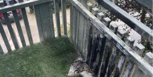 Tabletop fire pit unleashed fireball, injurying Navy vet, suit says