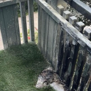 Tabletop fire pit unleashed fireball, injurying Navy vet, suit says