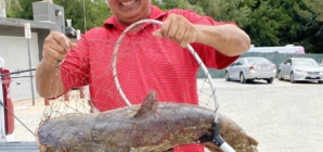 Massive ‘scale-breaking’ catfish caught in Southern California lake; ‘Catzilla’ still on the loose
