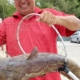 Massive ‘scale-breaking’ catfish caught in Southern California lake; ‘Catzilla’ still on the loose
