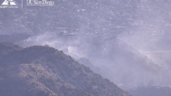Firefighters battling brush fire in Burb